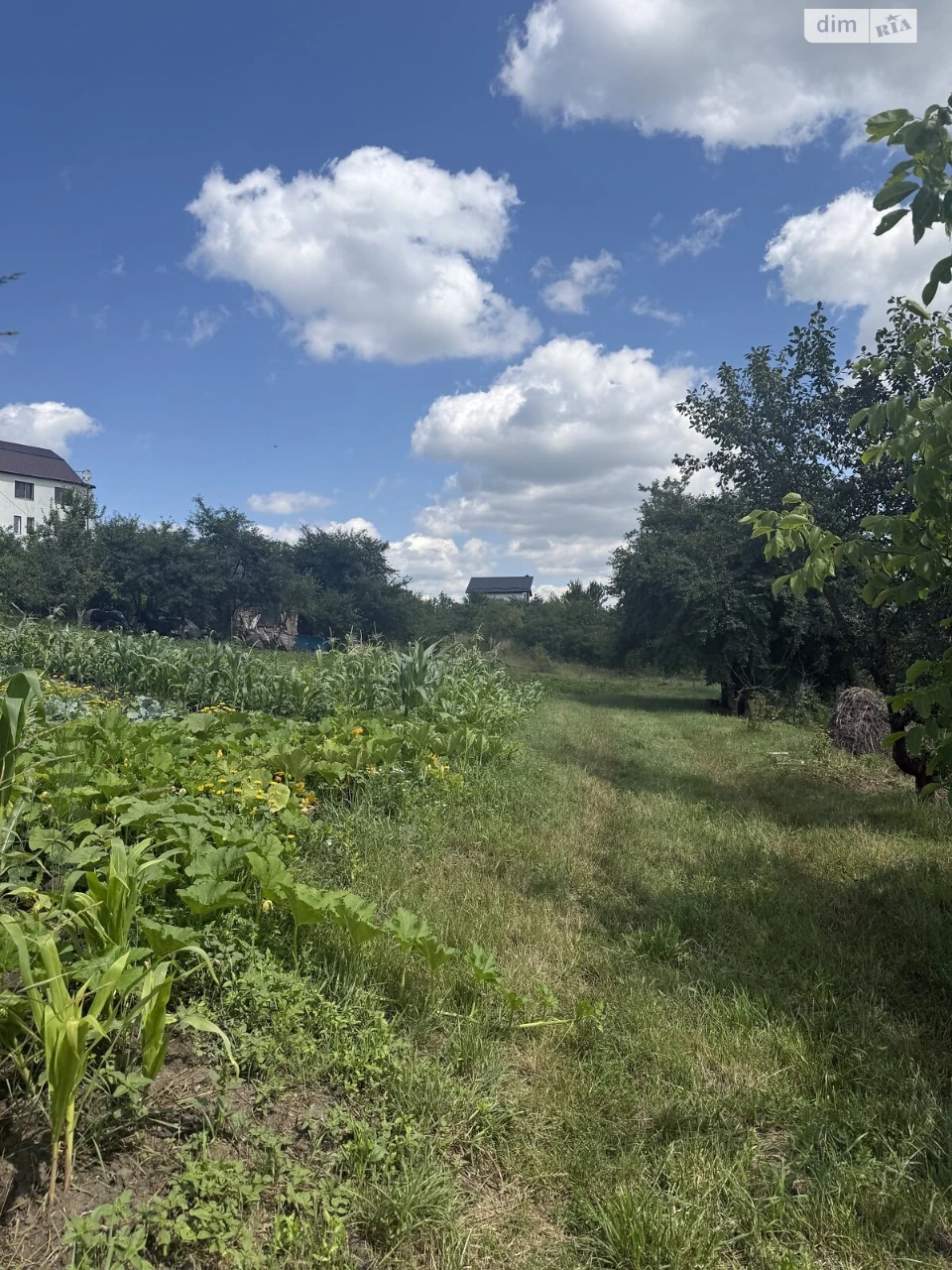 Продаж Земля сільськогосподарського призначення Дубове