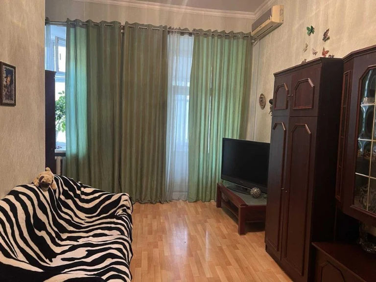 Комната в Коммуне на Троицкой, 497377