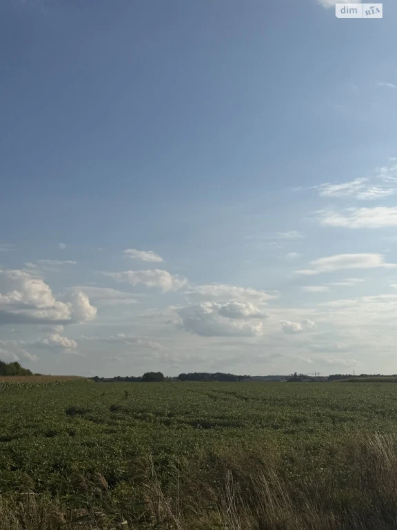 Agricultural land for sale