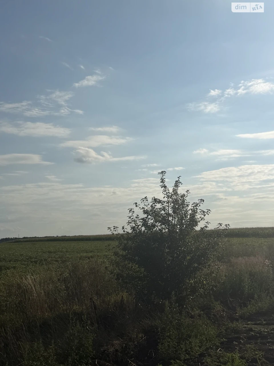 Agricultural land for sale