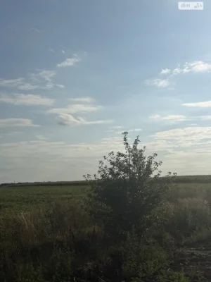 Agricultural land for sale