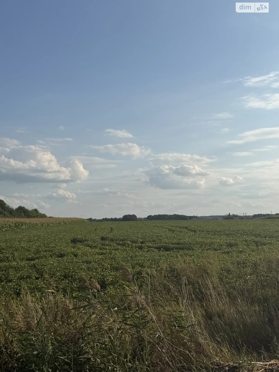Agricultural land for sale