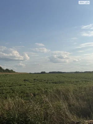 Agricultural land for sale