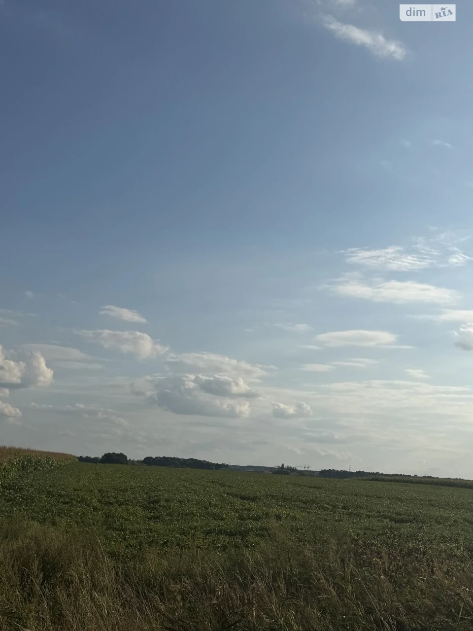 Agricultural land for sale