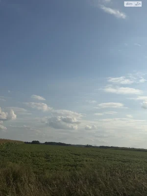 Agricultural land for sale