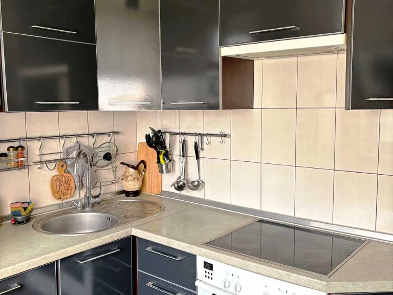 Apartment. Kharkiv, Oleksandrivskyi Ave. (Kosiora)