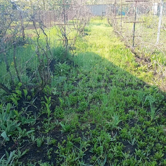 Продам дачу в місті. Обмін