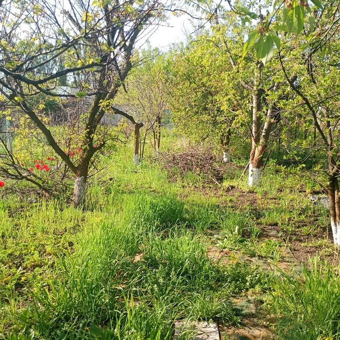Продам дачу в місті. Обмін