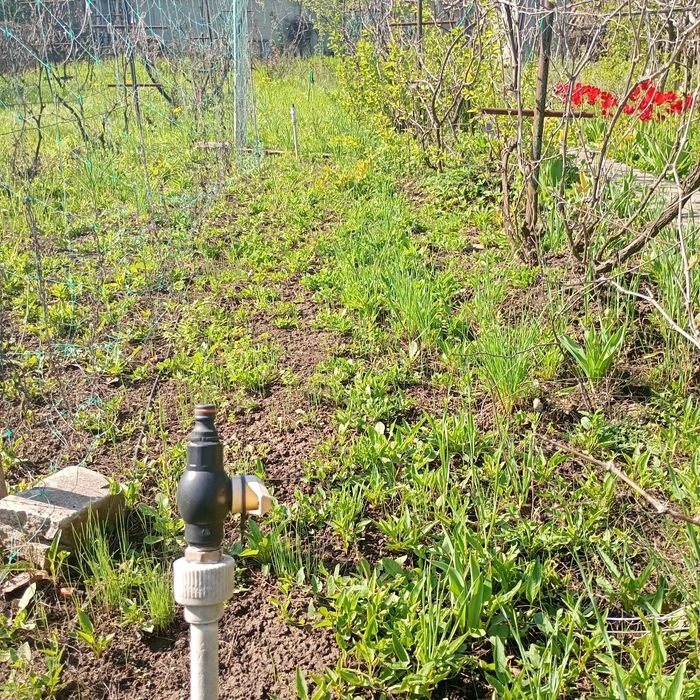 Продам дачу в місті. Обмін