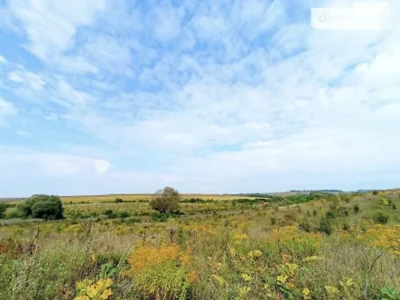 Продаж Земля сільськогосподарського призначення Південно-Зах