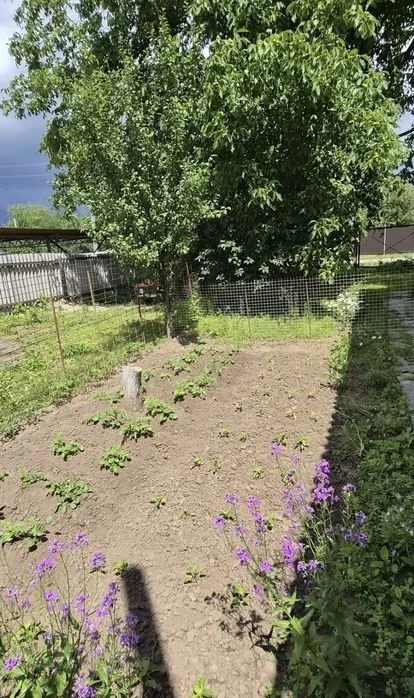 Продаж будинку в передмісті Полтави