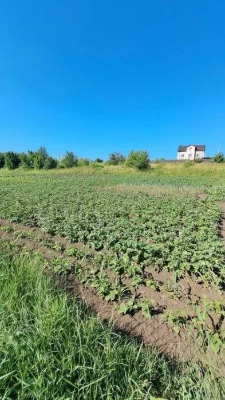 Земельна ділянка в Дубово чудове місце для садівництва та ві