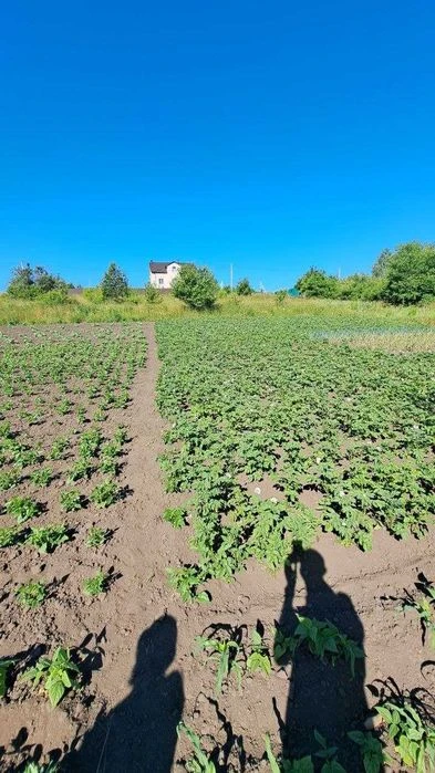 Земельна ділянка в Дубово чудове місце для садівництва та ві
