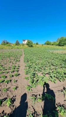 Земельна ділянка в Дубово чудове місце для садівництва та ві