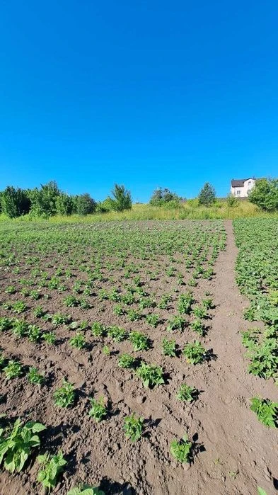 Земельна ділянка в Дубово чудове місце для садівництва та ві