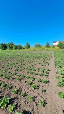 Земельна ділянка в Дубово чудове місце для садівництва та ві