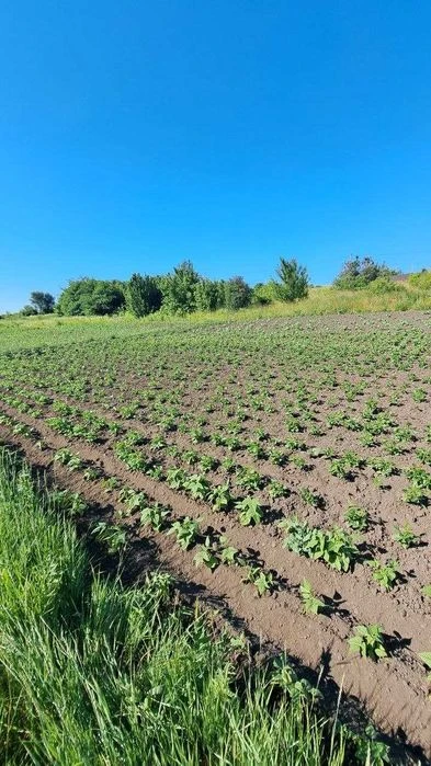 Земельна ділянка в Дубово чудове місце для садівництва та ві
