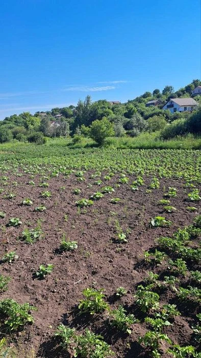 Земельна ділянка в Дубово чудове місце для садівництва та ві