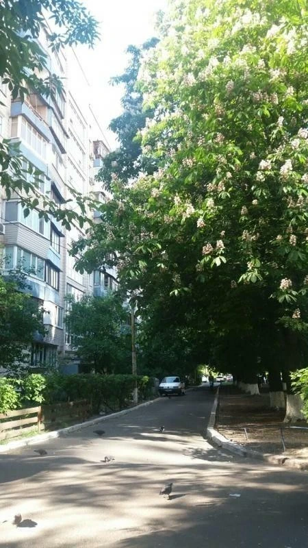 1-room apartment for sale 27 m², Gusovskogo st., 2