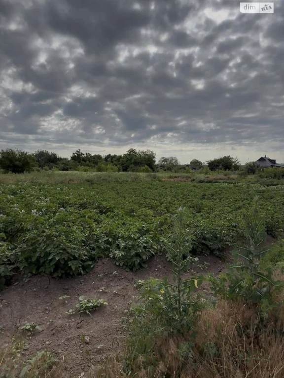 Продаж Ділянка під житлову забудову Рибці