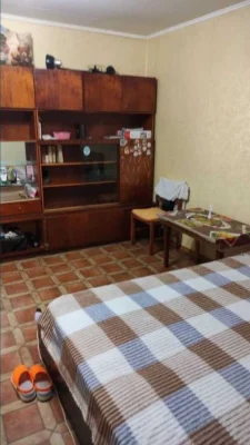 1 комнатная квартира на Кузнечной, 332109