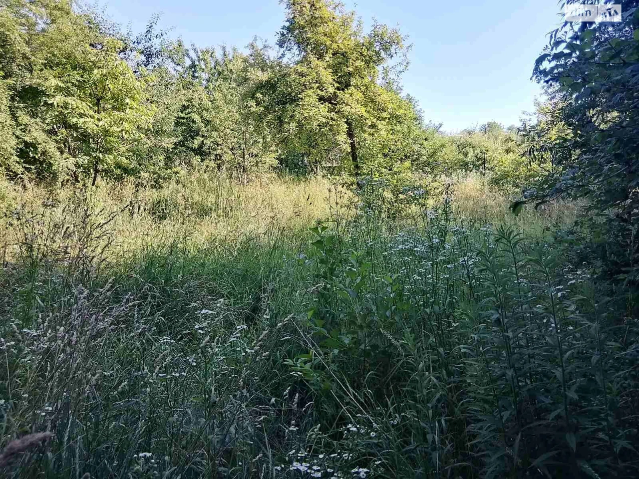 Продаж Ділянка під житлову забудову Книжківці