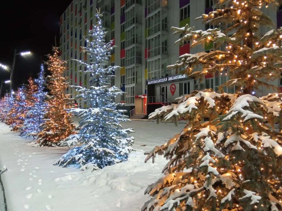 Selling a Really Cheap Apartment in a New Building Near Nauchnaya Bota Metro Station