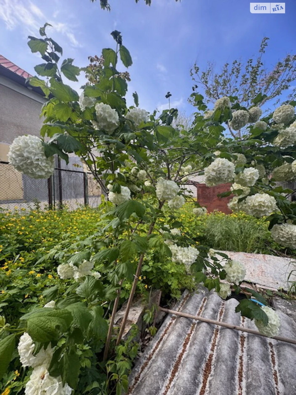 Продаж Ділянка під житлову забудову Чубаївка