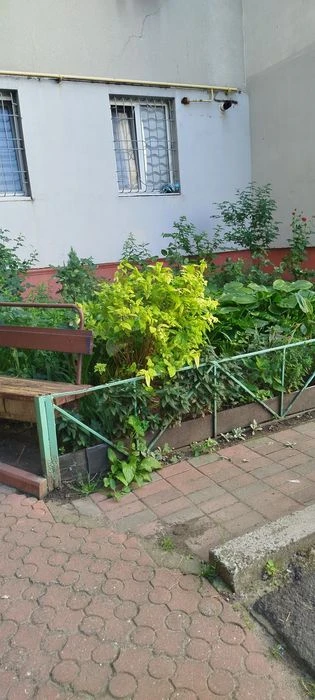 Срочно продам 3 ком кв Хвойный переулок 12