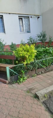 Срочно продам 3 ком кв Хвойный переулок 12