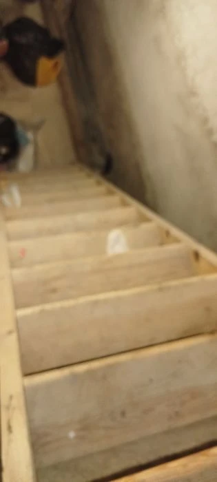 Срочно продам 3 ком кв Хвойный переулок 12