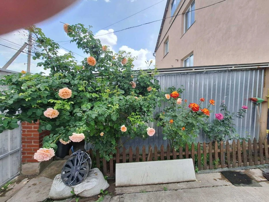 (5) I will sell part of the house in Buchmy 6910