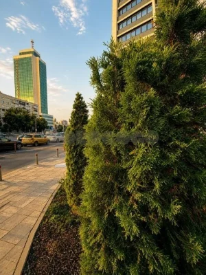 1-room apartment for sale, Manhattan City residential complex