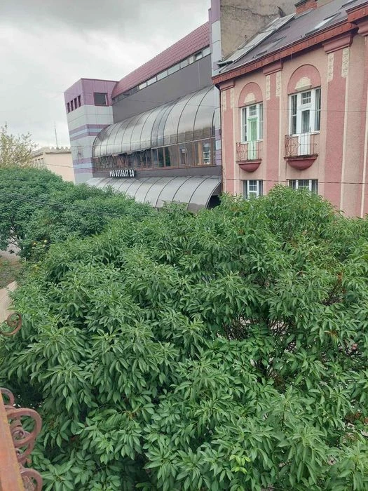 Продаж квартири в історичному місті Ужгорода