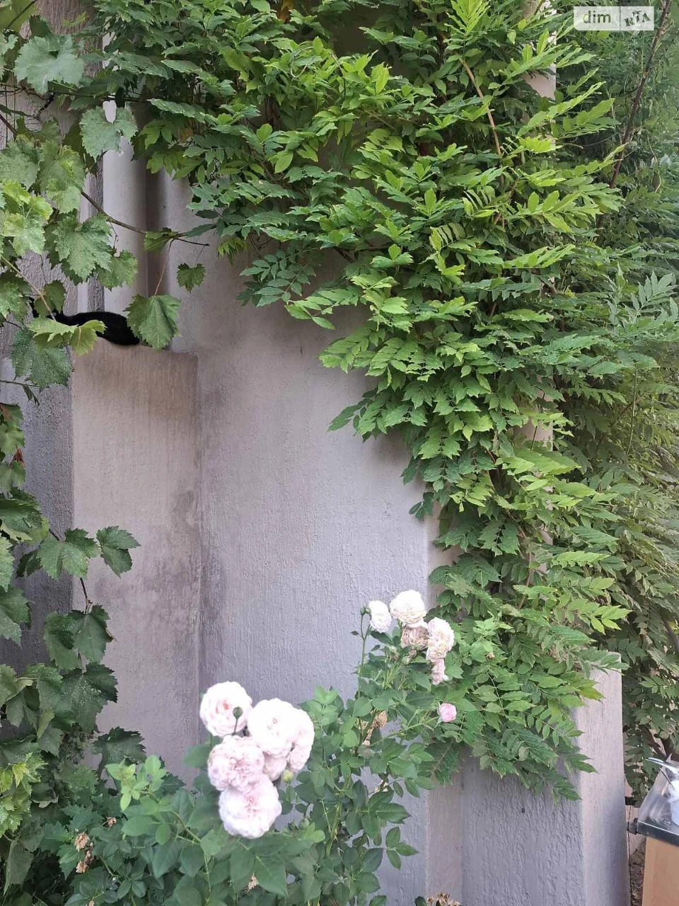 Продаж Квартира Чечелівський