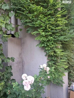 Продаж Квартира Чечелівський