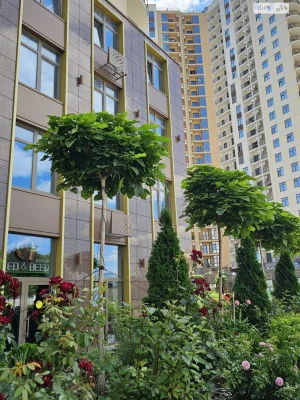 Продажа Квартира Ближние Мельницы