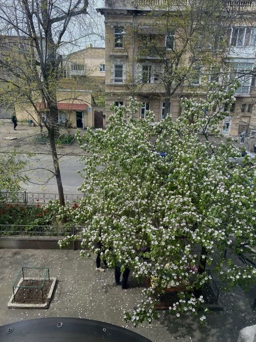 Продам квартиру в центре Одессы (самостоятельный блок)