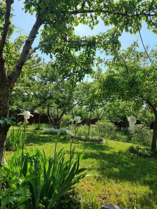Сучасний будинок 102 м² + мансарда 80 м², Супрунівка