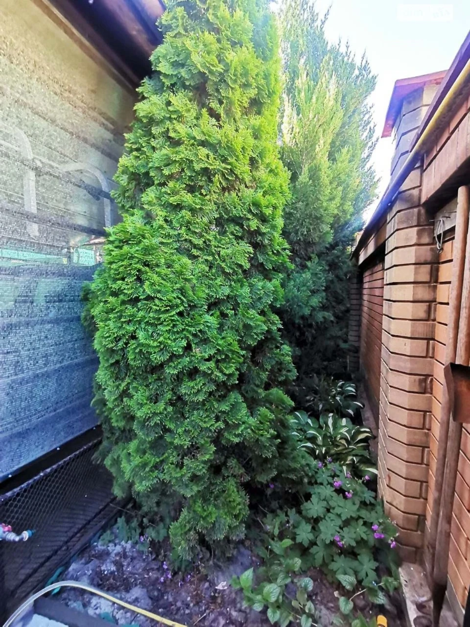 For Sale House Kosmos