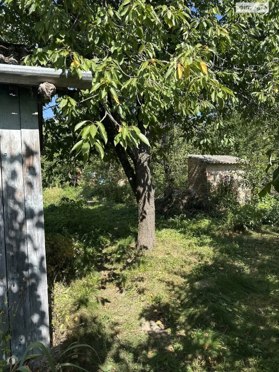 Продаж Ділянка під житлову забудову П'ятничани