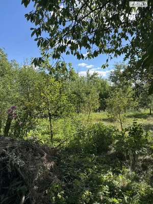 Продажа Участок под жилую застройку Пятничане.