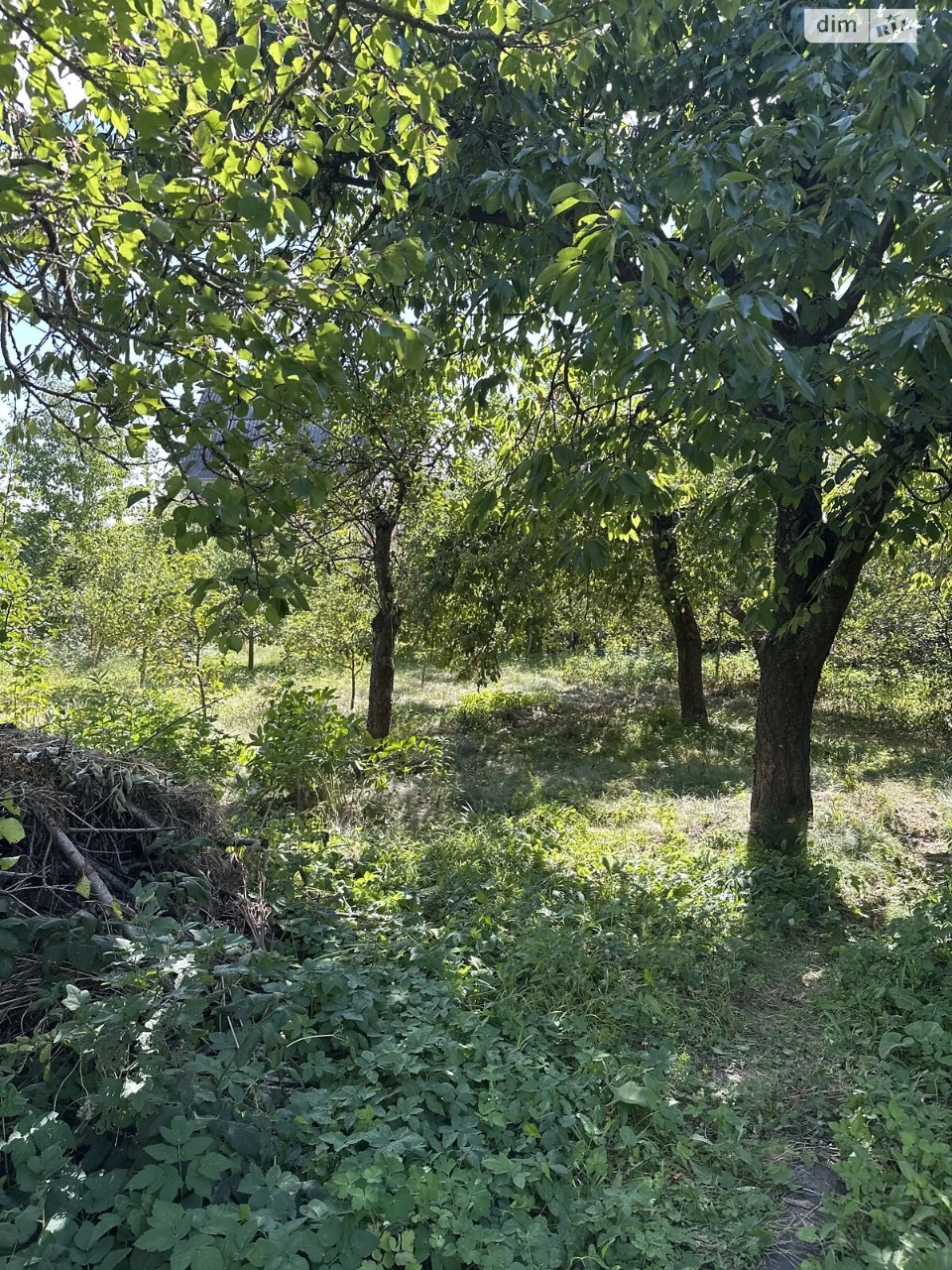 Продажа Участок под жилую застройку Пятничане.
