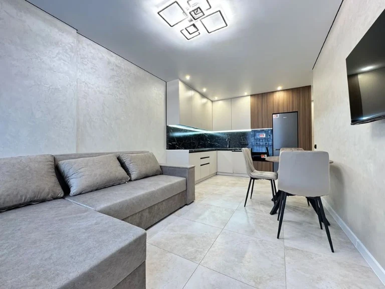 Large 1-room apartment with renovation, developed infrastructure 8