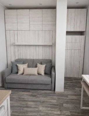 Apartment for sale with renovation, furniture and appliances, Svitlitsky