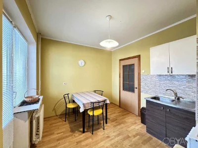 1-room apartment Olena Pchilka St., 2-B