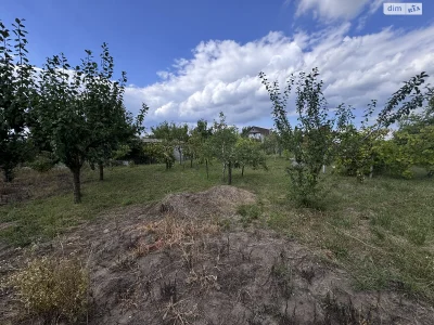 Продаж Земля сільськогосподарського призначення Нива дачний