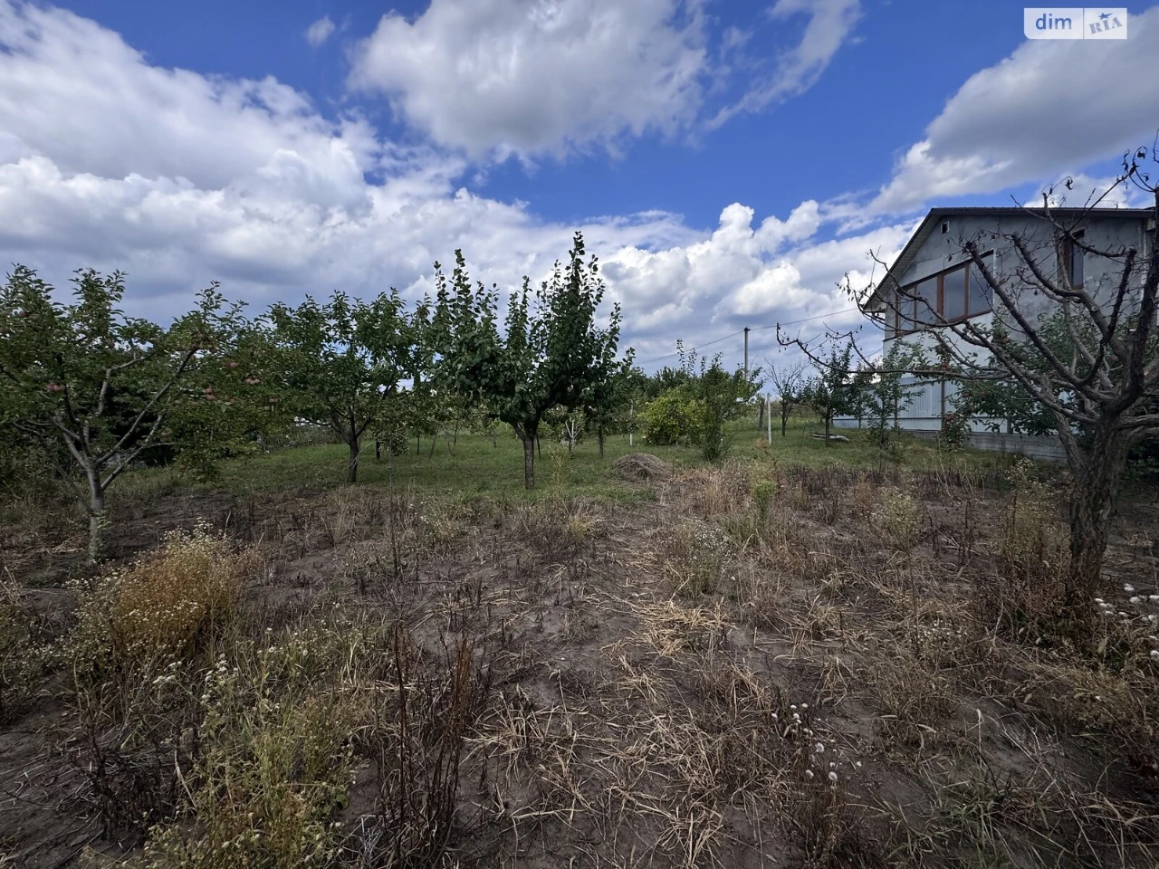 Продаж Земля сільськогосподарського призначення Нива дачний