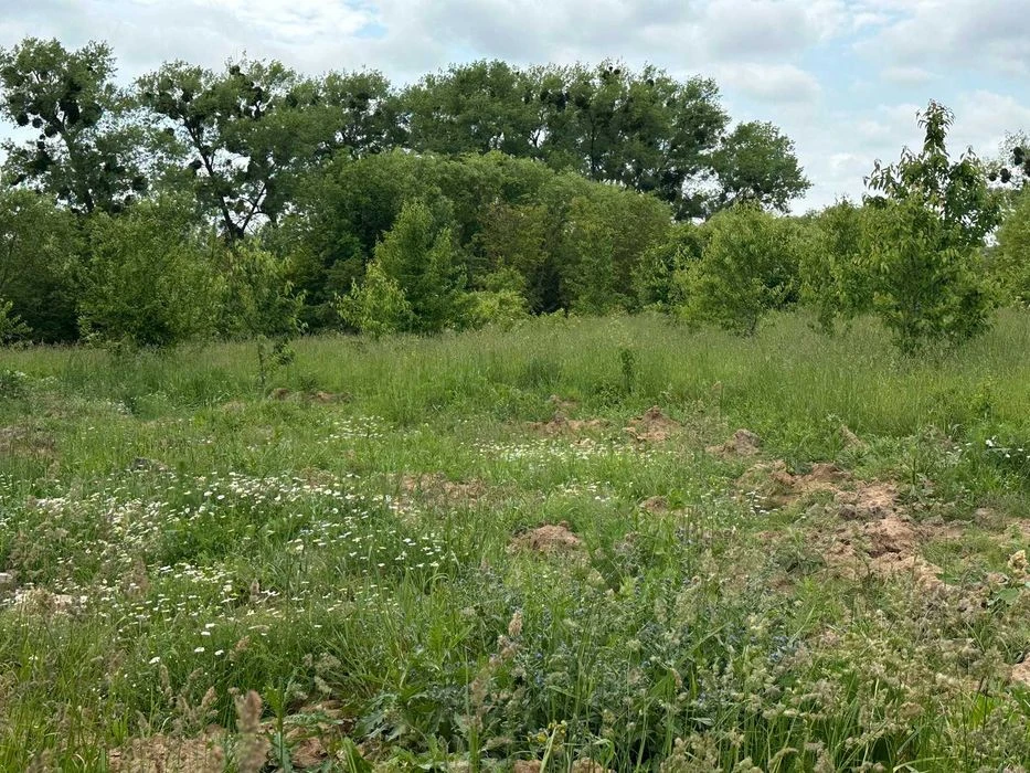 Sale of a plot of 46 acres in Vyshenka