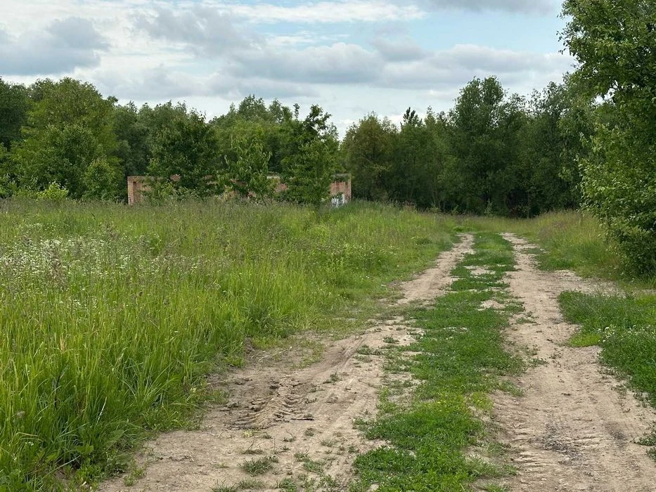 Sale of a plot of 46 acres in Vyshenka